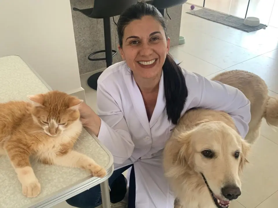 Atendimento Veterinário Domiciliar - Vet Care Bee