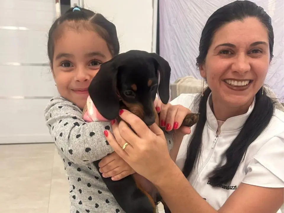 Dra. Fernanda Luzzi em atendimento veterinário domiciliar