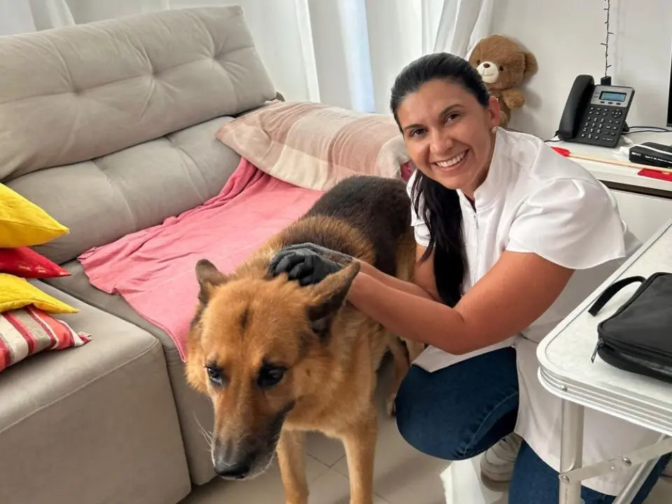 Atendimento veterinário domiciliar em Botucatu