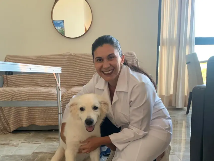 Exame veterinário realizado em domicílio